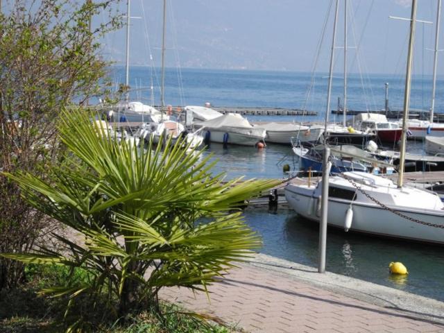 Casa Matisse Leilighet Pianello Del Lario Eksteriør bilde